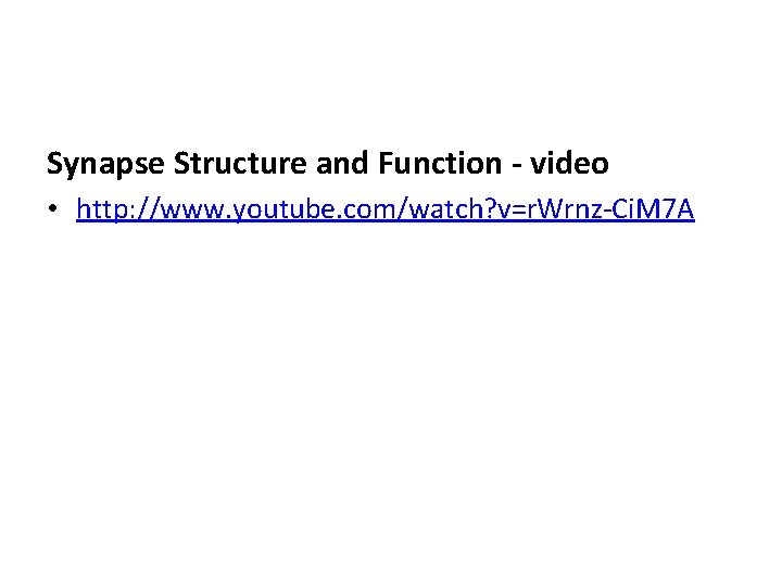 Synapse Structure and Function - video • http: //www. youtube. com/watch? v=r. Wrnz-Ci. M