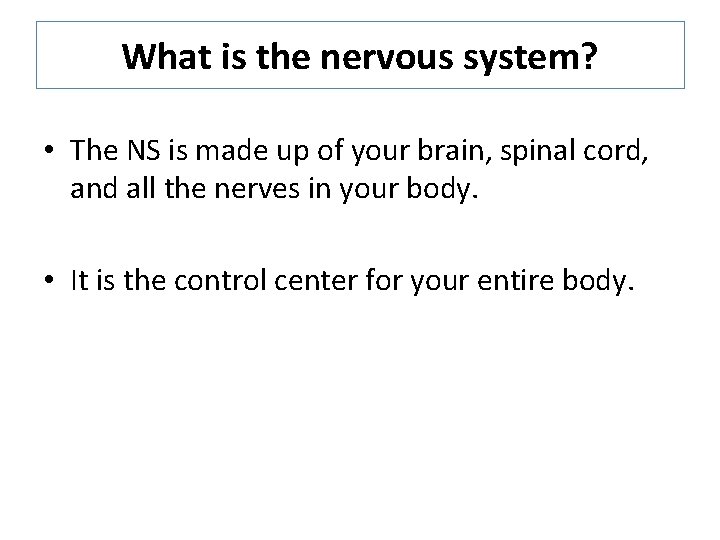 What is the nervous system? • The NS is made up of your brain,