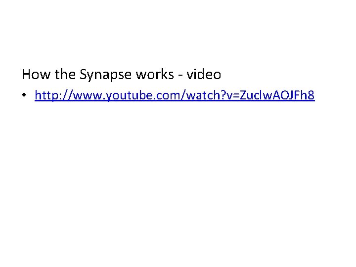 How the Synapse works - video • http: //www. youtube. com/watch? v=Zuclw. AOJFh 8