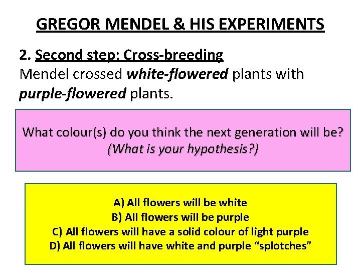 GREGOR MENDEL & HIS EXPERIMENTS 2. Second step: Cross-breeding Mendel crossed white-flowered plants with