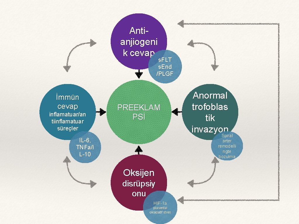 Antianjiogeni k cevap s. FLT s. End /PLGF İmmün cevap inflamatuar/an tiinflamatuar süreçler PREEKLAM