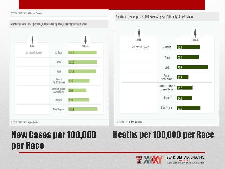 New Cases per 100, 000 per Race Deaths per 100, 000 per Race 