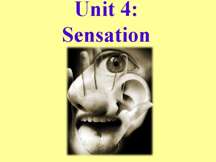 Unit 4: Sensation 