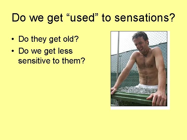 Do we get “used” to sensations? • Do they get old? • Do we