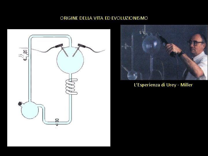ORIGINE DELLA VITA ED EVOLUZIONISMO L’Esperienza di Urey - Miller 