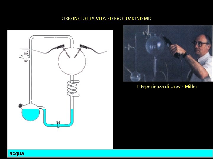 ORIGINE DELLA VITA ED EVOLUZIONISMO L’Esperienza di Urey - Miller acqua 