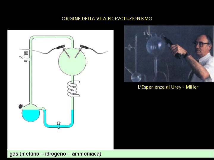 ORIGINE DELLA VITA ED EVOLUZIONISMO L’Esperienza di Urey - Miller gas (metano – idrogeno