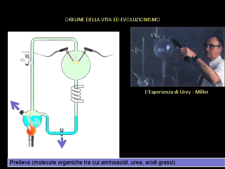 ORIGINE DELLA VITA ED EVOLUZIONISMO L’Esperienza di Urey - Miller Prelievo (molecole organiche tra