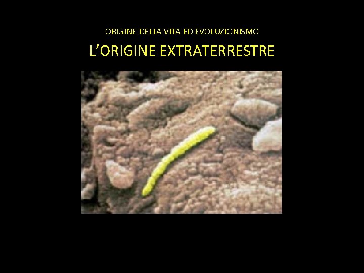 ORIGINE DELLA VITA ED EVOLUZIONISMO L’ORIGINE EXTRATERRESTRE 