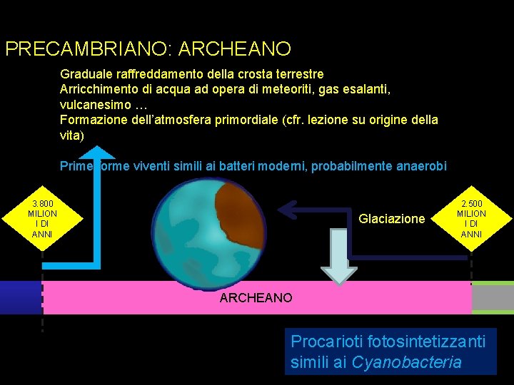 PRECAMBRIANO: ARCHEANO Graduale raffreddamento della crosta terrestre Arricchimento di acqua ad opera di meteoriti,