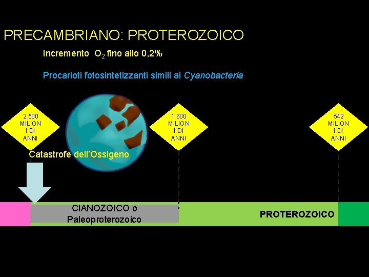 PRECAMBRIANO: PROTEROZOICO Incremento O 2 fino allo 0, 2% Procarioti fotosintetizzanti simili ai Cyanobacteria