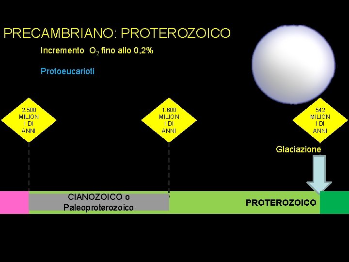 PRECAMBRIANO: PROTEROZOICO Incremento O 2 fino allo 0, 2% Protoeucarioti 2. 500 MILION I