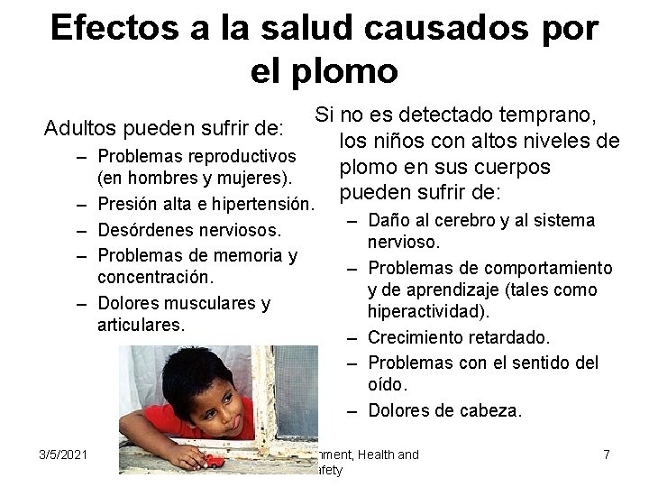 Efectos a la salud causados por el plomo Si no es detectado temprano, Adultos