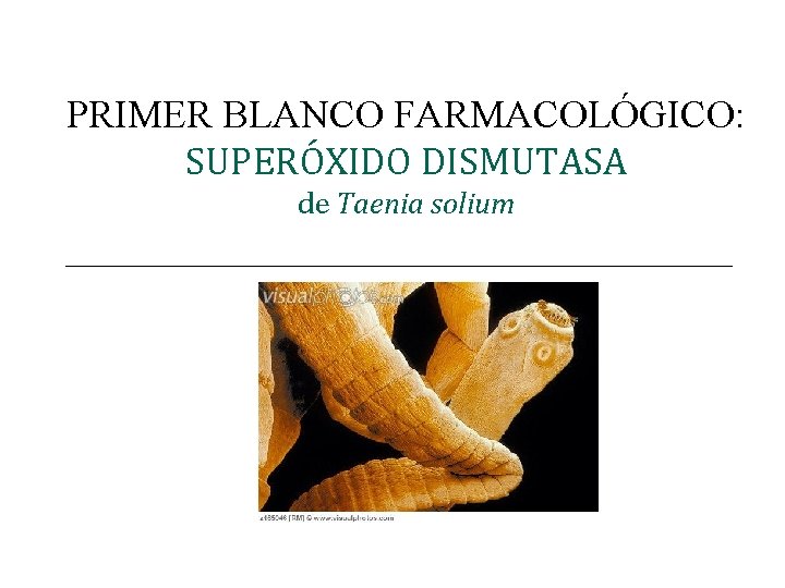 PRIMER BLANCO FARMACOLÓGICO: SUPERÓXIDO DISMUTASA de Taenia solium _________________ 