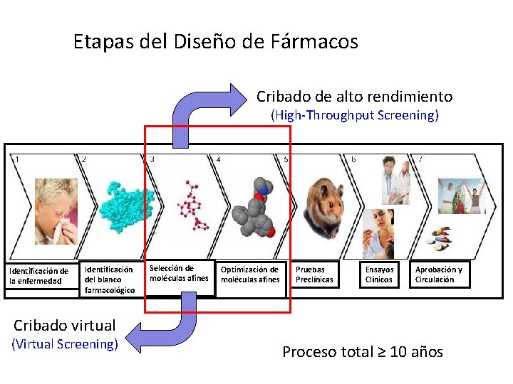 Etapas del Diseño de Fármacos Cribado de alto rendimiento (High-Throughput Screening) Identificación de la