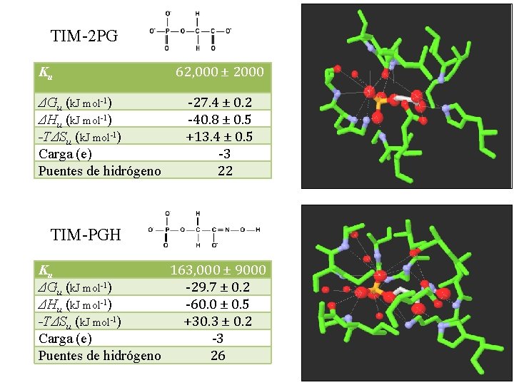 TIM-2 PG Ku ΔGu (k. J mol-1) ΔHu (k. J mol-1) -TΔSu (k. J