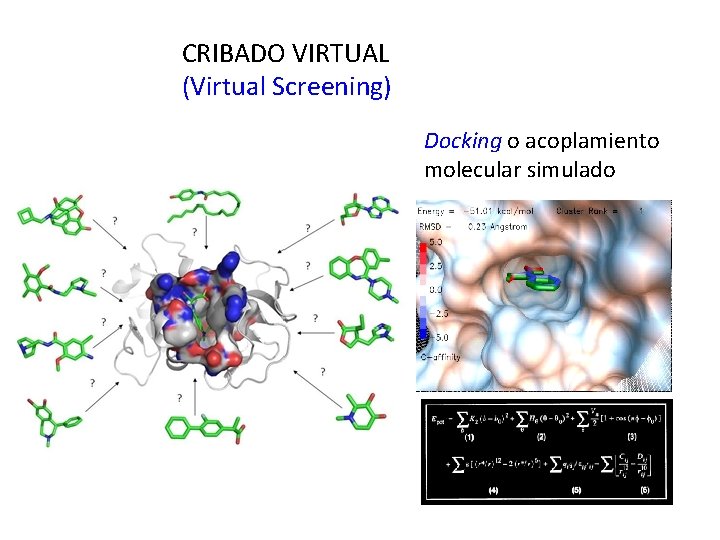 CRIBADO VIRTUAL (Virtual Screening) Docking o acoplamiento molecular simulado 