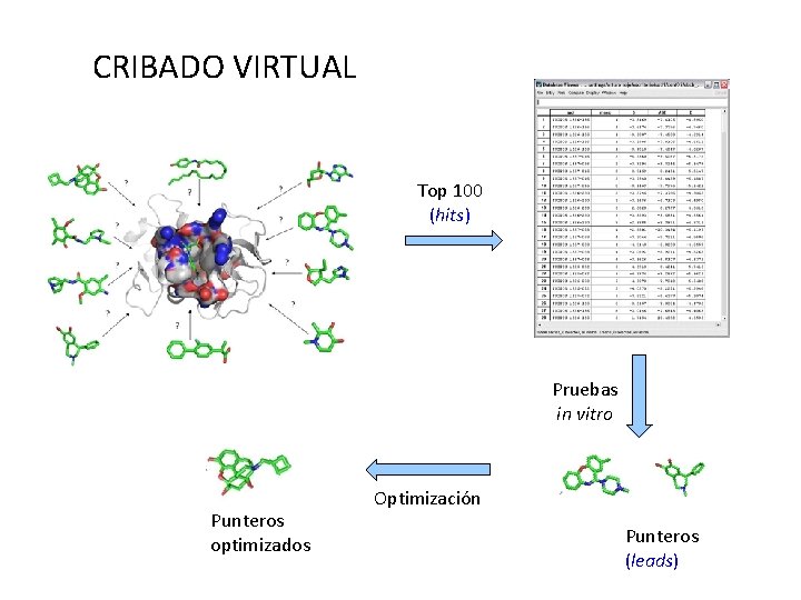 CRIBADO VIRTUAL Top 100 (hits) Pruebas in vitro Punteros optimizados Optimización Punteros (leads) 