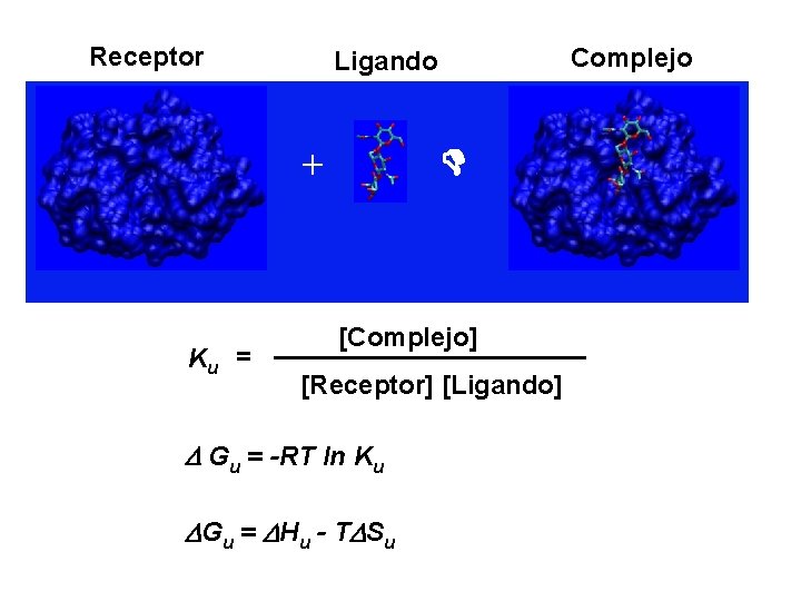 Receptor + Ku Complejo Ligando [Complejo] ___________ = [Receptor] [Ligando] Gu = -RT ln