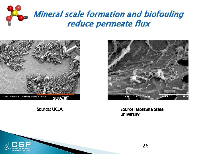 Mineral scale formation and biofouling reduce permeate flux Source: UCLA Source: Montana State University