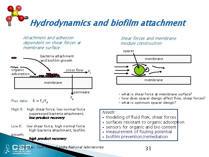 Hydrodynamics and biofilm attachment Attachment and adhesion dependent on shear forces at membrane surface: