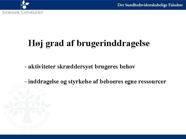 Høj grad af brugerinddragelse - aktiviteter skræddersyet brugeres behov - inddragelse og styrkelse af