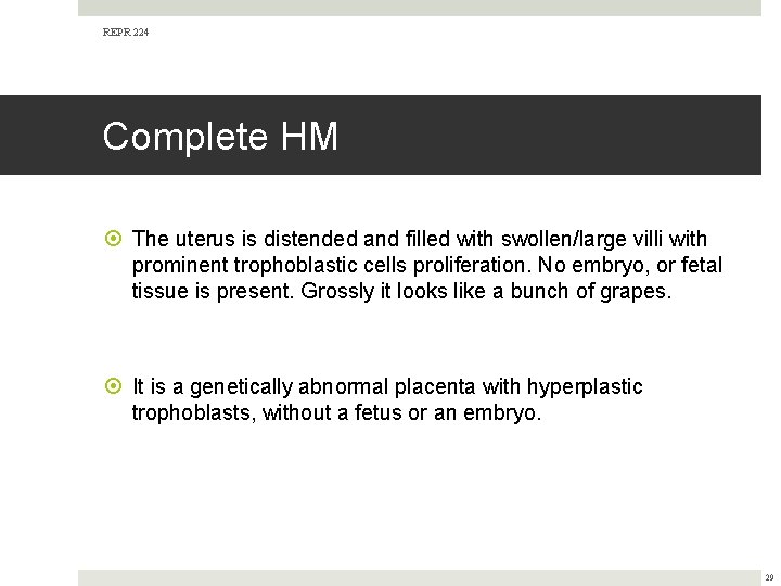 REPR 224 Complete HM The uterus is distended and filled with swollen/large villi with