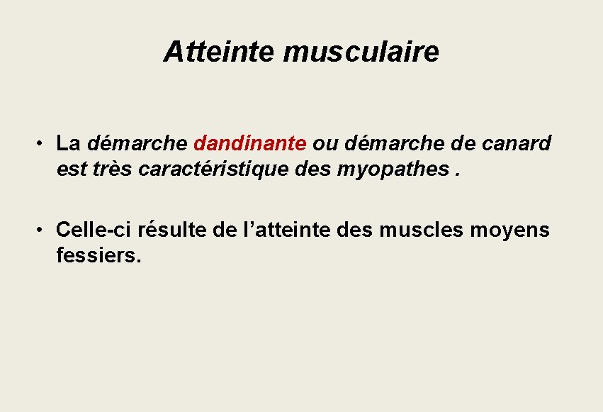 Atteinte musculaire • La démarche dandinante ou démarche de canard est très caractéristique des Atteinte musculaire • La démarche dandinante ou démarche de canard est très caractéristique des