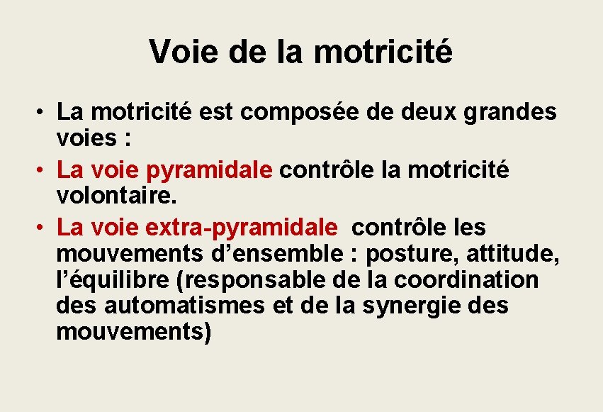 Voie de la motricité • La motricité est composée de deux grandes voies : Voie de la motricité • La motricité est composée de deux grandes voies :