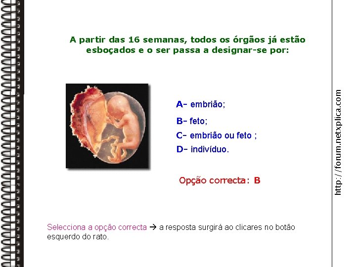 A- embrião; B- feto; C- embrião ou feto ; D- indivíduo. Opção correcta: B