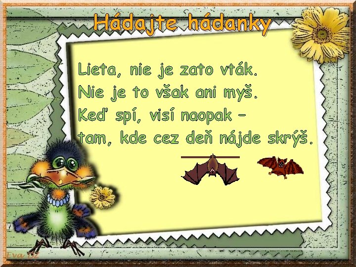 Hádajte hádanky Lieta, nie je zato vták. Nie je to však ani myš. Keď