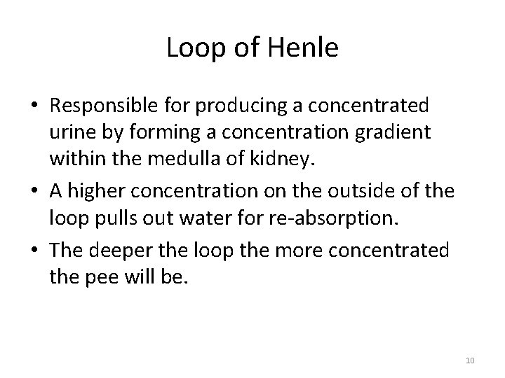 Loop of Henle • Responsible for producing a concentrated urine by forming a concentration Loop of Henle • Responsible for producing a concentrated urine by forming a concentration