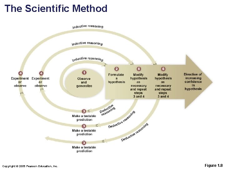 The Scientific Method Copyright © 2009 Pearson Education, Inc. Figure 1. 8 