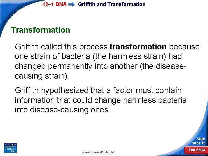 12– 1 DNA Griffith and Transformation Griffith called this process transformation because one strain