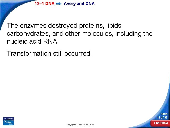 12– 1 DNA Avery and DNA The enzymes destroyed proteins, lipids, carbohydrates, and other
