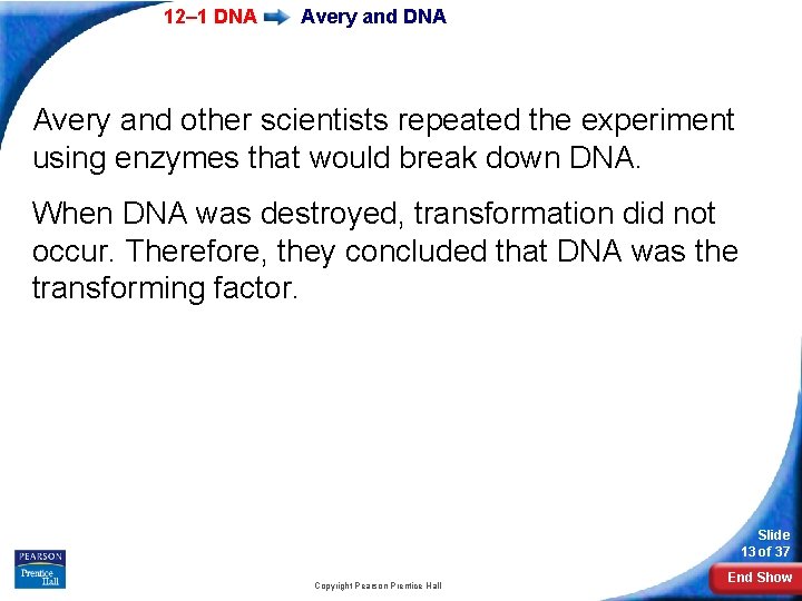 12– 1 DNA Avery and other scientists repeated the experiment using enzymes that would