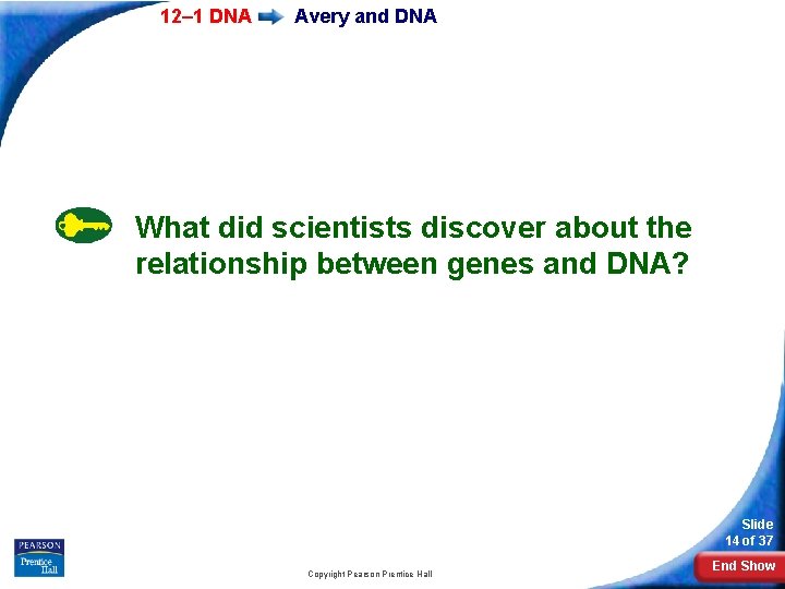 12– 1 DNA Avery and DNA What did scientists discover about the relationship between