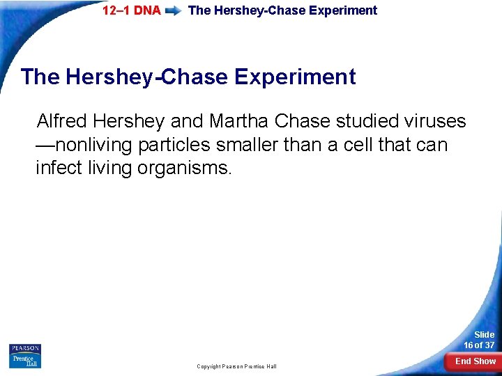 12– 1 DNA The Hershey-Chase Experiment Alfred Hershey and Martha Chase studied viruses —nonliving