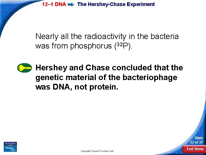 12– 1 DNA The Hershey-Chase Experiment Nearly all the radioactivity in the bacteria was