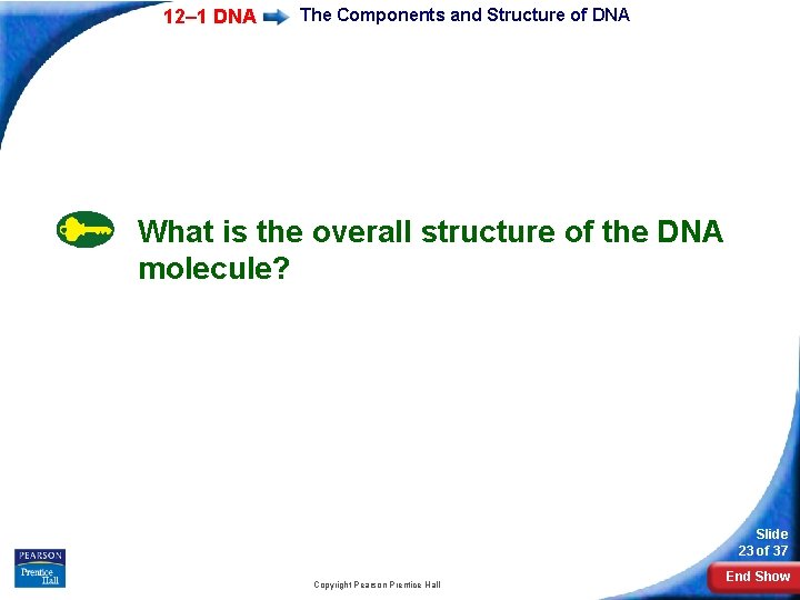 12– 1 DNA The Components and Structure of DNA What is the overall structure