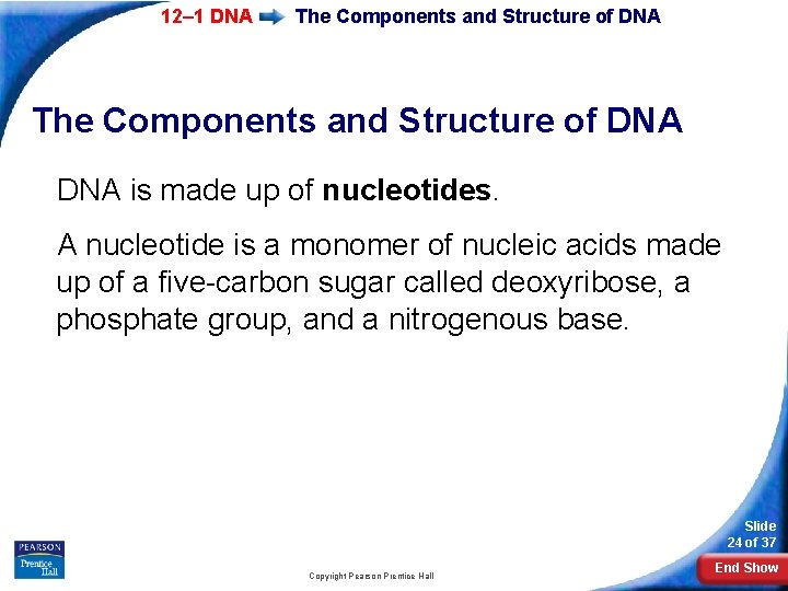 12– 1 DNA The Components and Structure of DNA is made up of nucleotides.