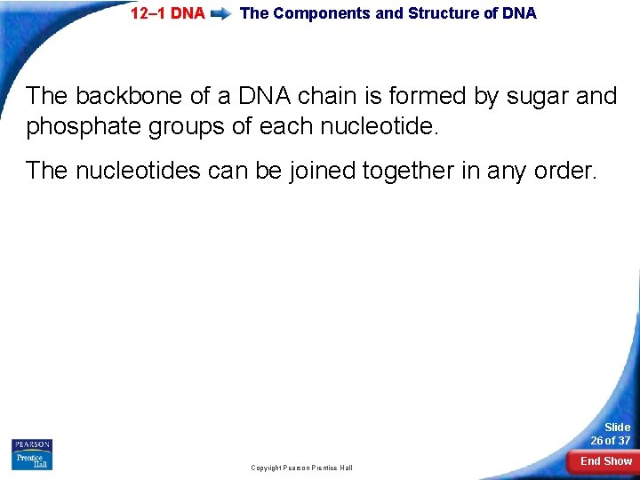 12– 1 DNA The Components and Structure of DNA The backbone of a DNA