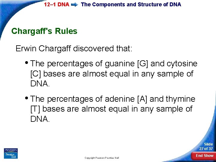 12– 1 DNA The Components and Structure of DNA Chargaff's Rules Erwin Chargaff discovered