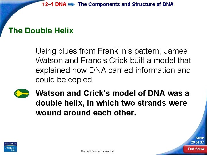 12– 1 DNA The Components and Structure of DNA The Double Helix Using clues