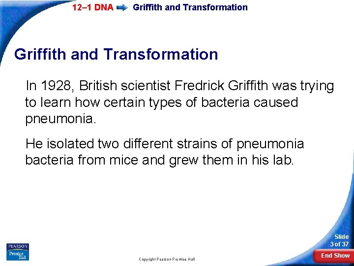 12– 1 DNA Griffith and Transformation In 1928, British scientist Fredrick Griffith was trying