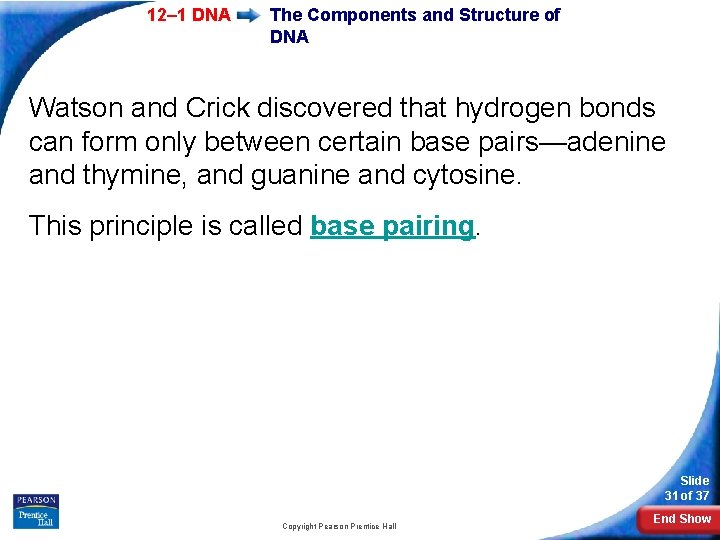 12– 1 DNA The Components and Structure of DNA Watson and Crick discovered that