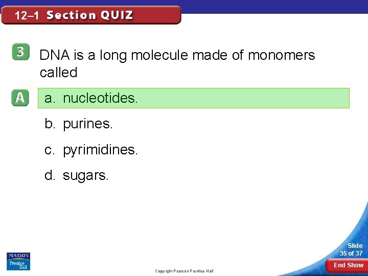 12– 1 DNA is a long molecule made of monomers called a. nucleotides. b.