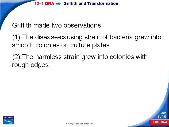 12– 1 DNA Griffith and Transformation Griffith made two observations: (1) The disease-causing strain