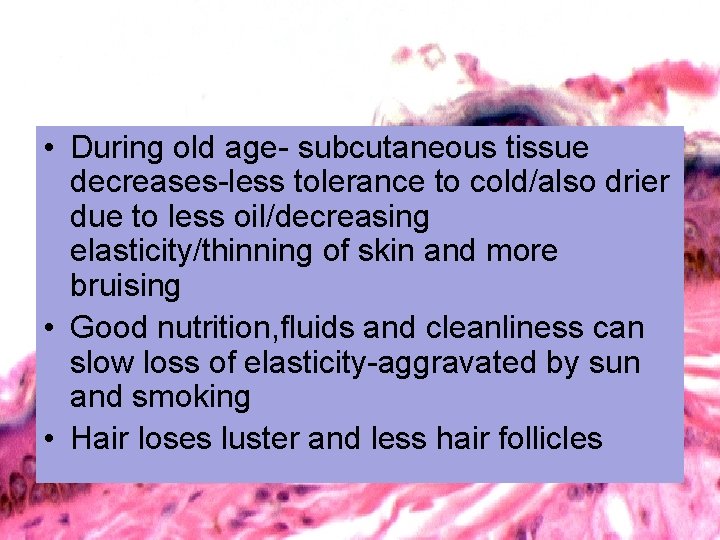  • During old age- subcutaneous tissue decreases-less tolerance to cold/also drier due to