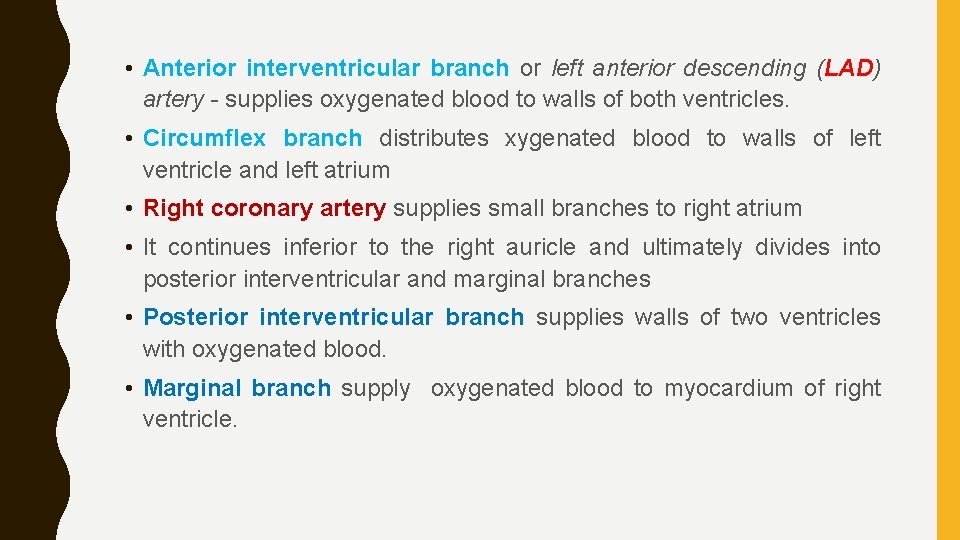  • Anterior interventricular branch or left anterior descending (LAD) artery - supplies oxygenated